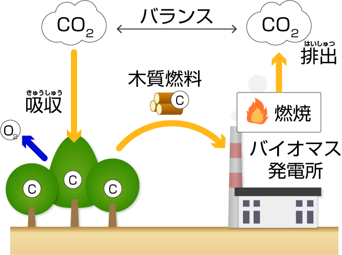 木を燃やして電気をつくる木質バイオマス発電のイメージイラスト